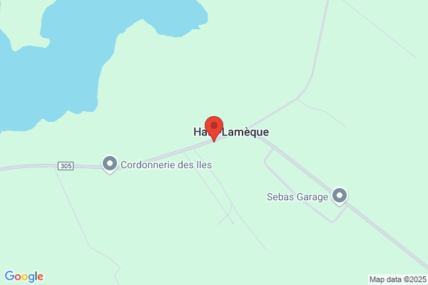 Garage Lameque Auto 1991