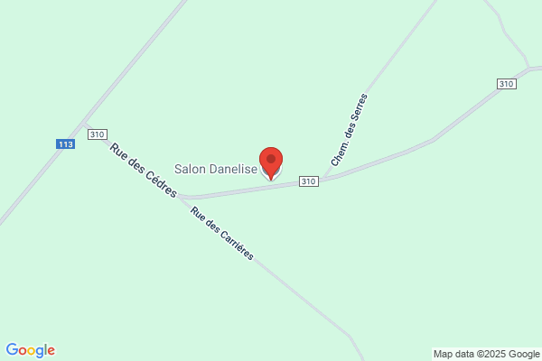 Salon Danelise