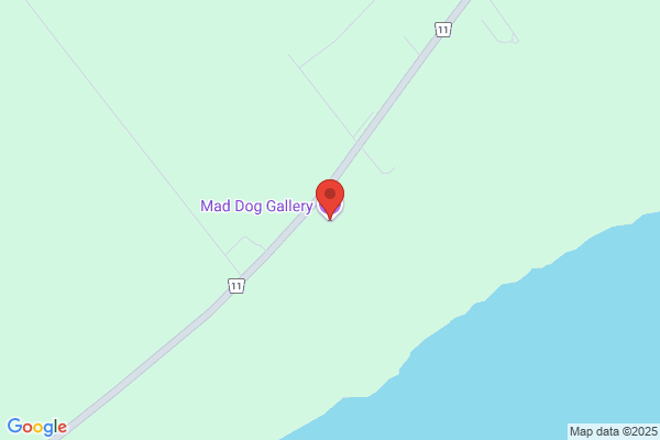 Mad Dog Gallery