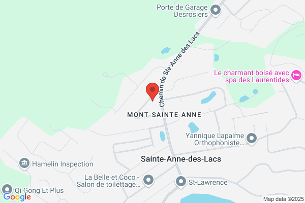 Les Entreprises P L G Lauzon Inc