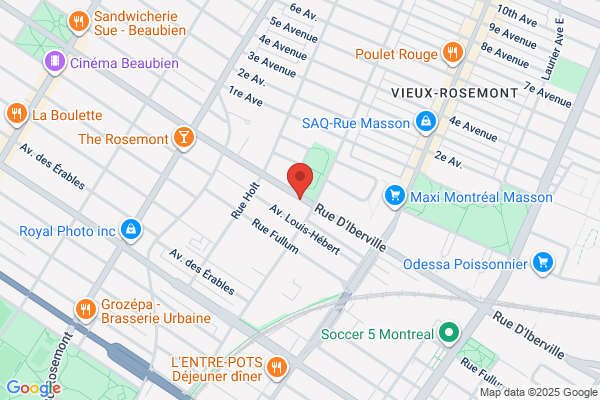 Montreal, Rosemont-La Petite-Patrie, Acces Montreal