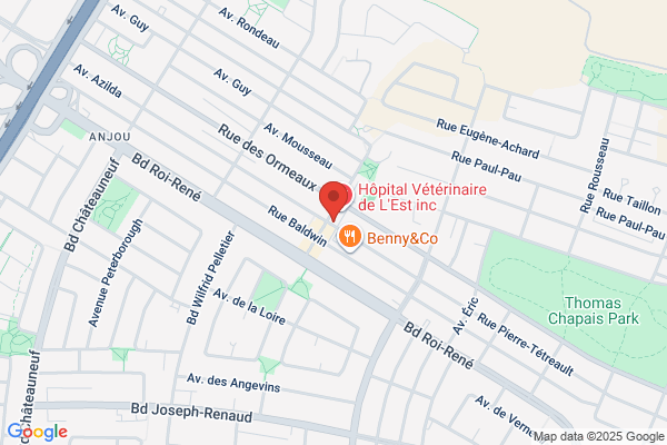 Centre Informatique Anjou