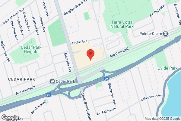 Cohen Martin Dr Rheumatgst
