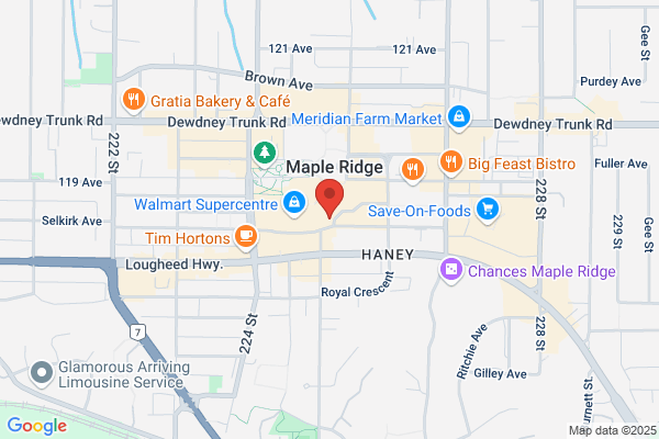Ridge Meadows Care Clinic Inc