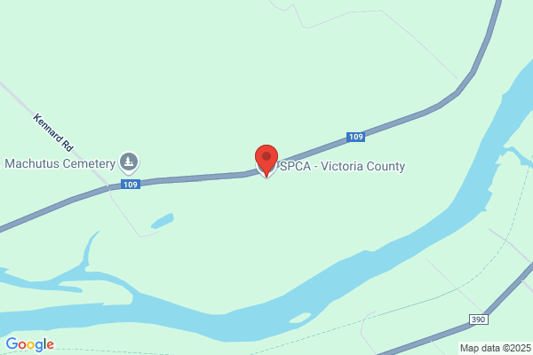 S P C A & Victoria County