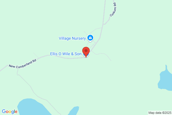 Ellis O Wile & Son (87) Ltd