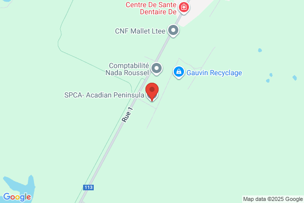 Adult Protection, Shippagan
