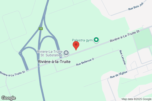 Chiasson Lise Dr Veterinaire