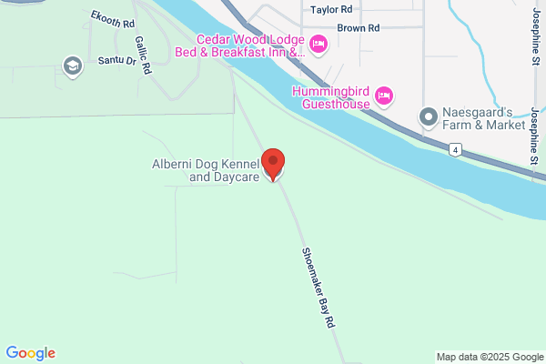 Alberni Dog Kennel & Daycare