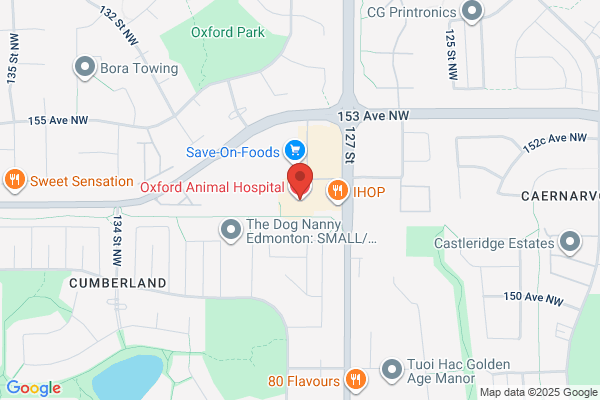 Oxford Animal Hospital