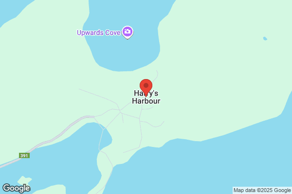 Harry's