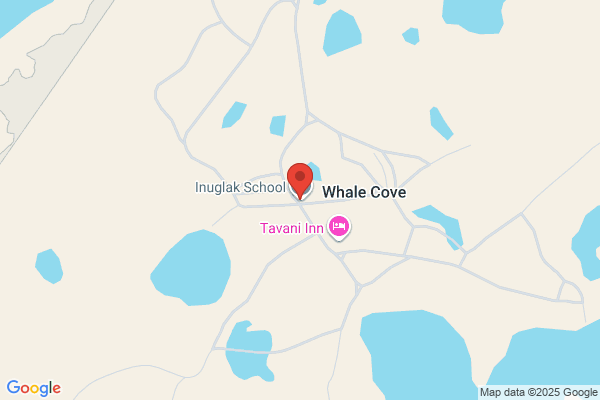 Whale Cove Holdings Limited