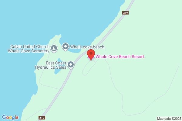 Whale Cove Holdings Limited
