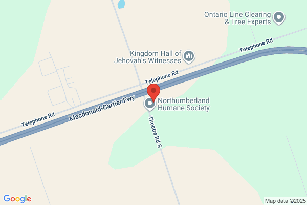 Animal Services, Cobourg (Town of), Shelter of Hope Animal Services-Adoptions