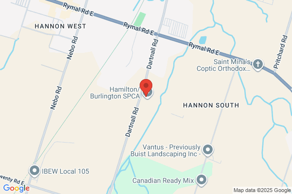 Animal Services, Hamilton (Township of), Animal Control Dispatch