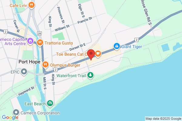 York Super Pharmacy