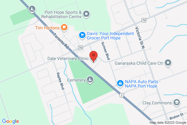 Dale Veterinary Clinic