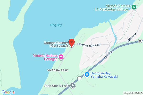 Cottage Country Pest Control
