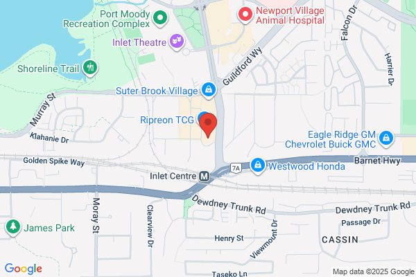 Kim Apollonio Certfd Genl Acct