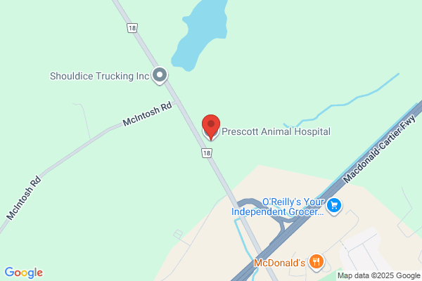 Prescott Animal Hospital