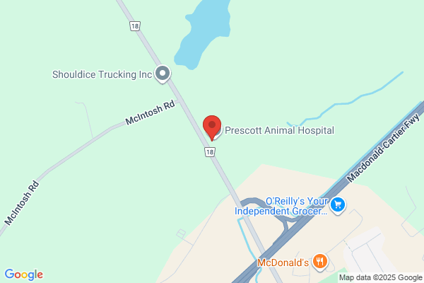 Rideau St. Lawrence Veterinary Services