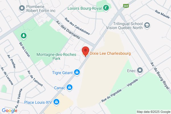 Dixie Lee Poulet Frit