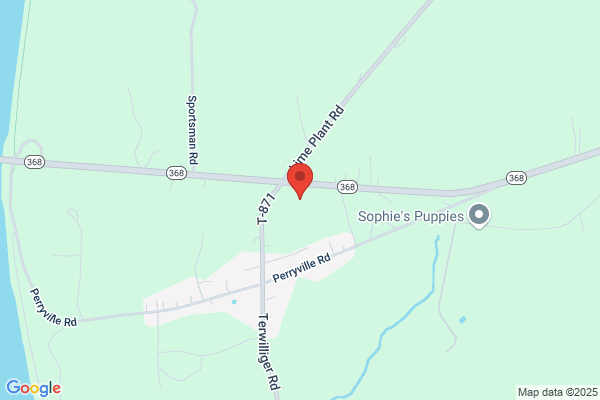 P A Central Electric