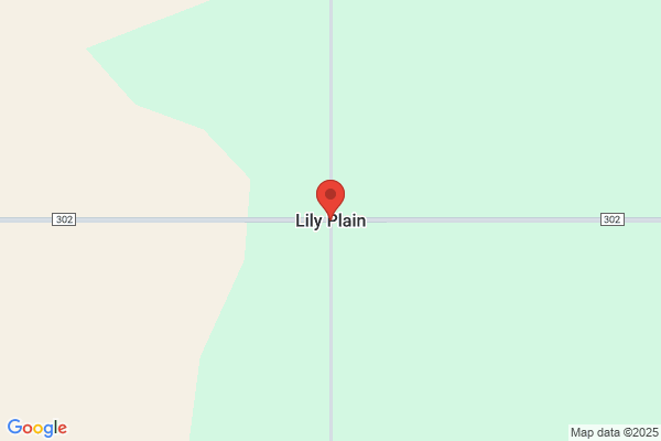 Lily Plain Saw & Tool Services
