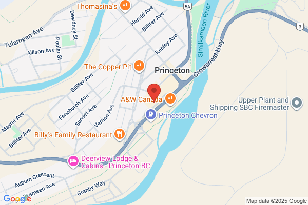 Princeton Esso & Food Store
