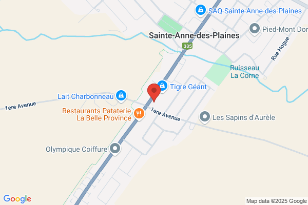 Clinique Veterinaire Des Chutes