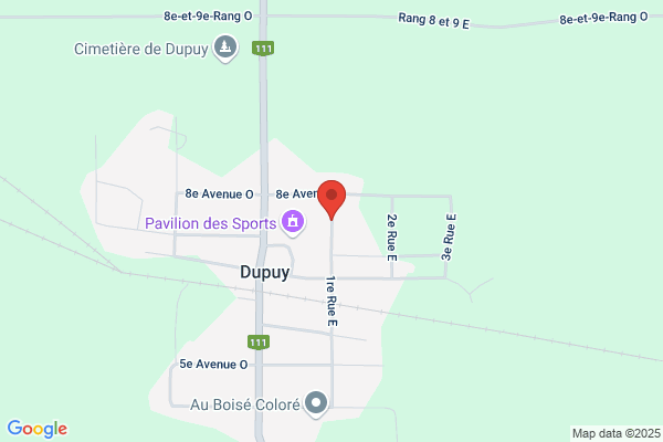 Dupuis Norman Inc Graphiste
