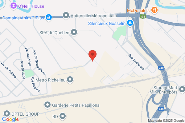 Pates De L'ile Inc (Les)