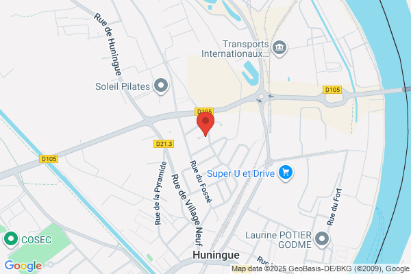 Boutique Du Collectionneur Tpm