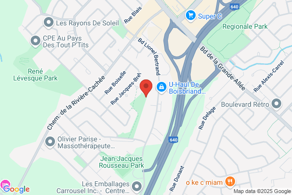 Maitre Saladier (Le)