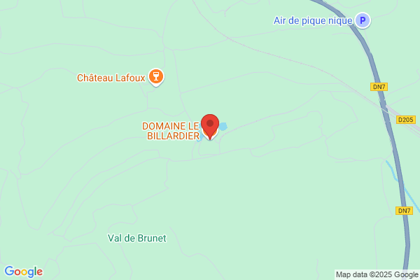 Billardier (Le)