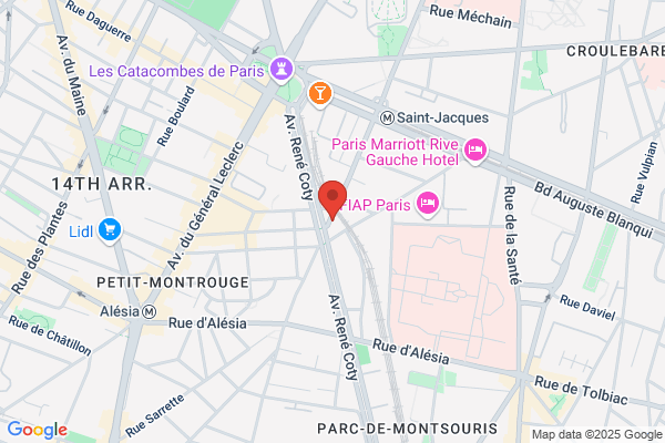 Ramonage Professionnel