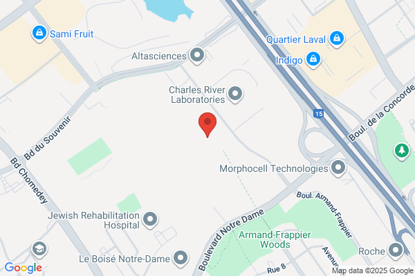Techni Cafe (Le)
