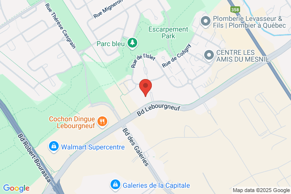 Websystems Inc Gestion De Projet