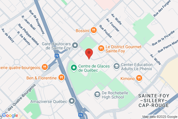 Marche Aux Puces De Sainte Foy