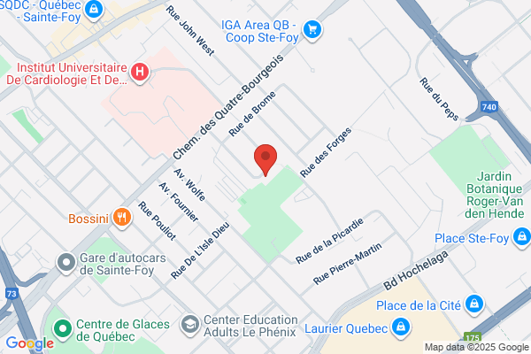 Gestion Serge Lauzon & Assoc Inc