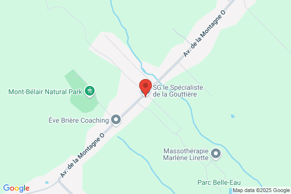 SG le Spécialiste de la Gouttière