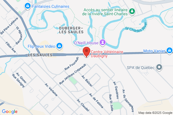Clinique Veterinaire Daubigny