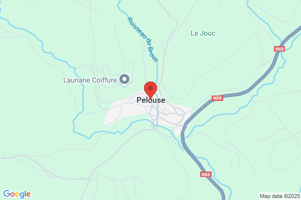 100% Pelouses
