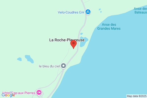 Hotel Motel La Roche Pleureuse
