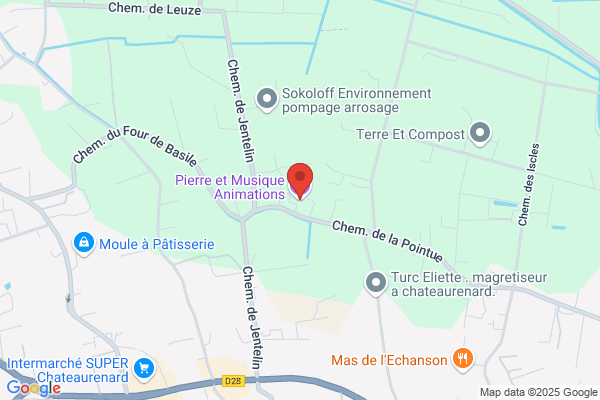 Musique Pierre Enr (Les Services De)