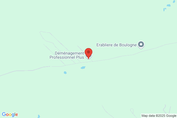 Déménagement Professionnel Plus
