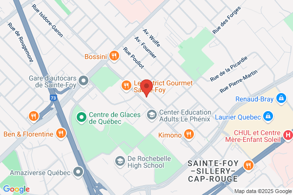 Medial Conseil Sante Securite Inc