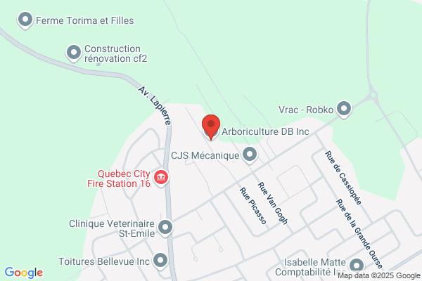 Service D'arbres Denis Beland
