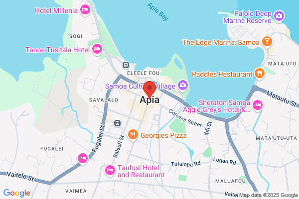 A P I A