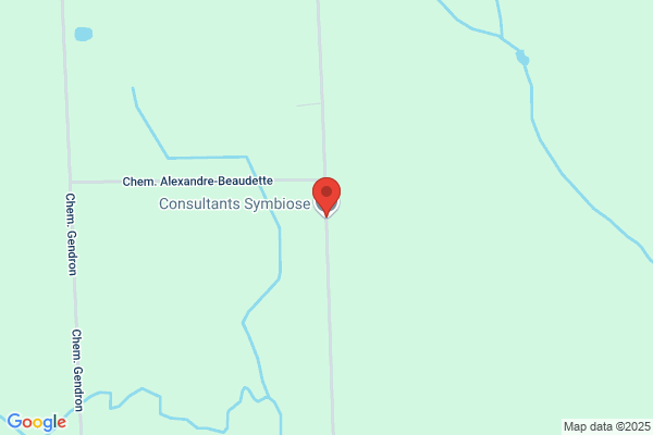 Symbiose Consultants Inc